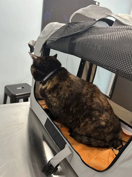 Lbc Vets Primary and Urgent Care Picture 10