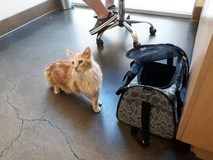 Primary Care Animal Hospital Picture 6