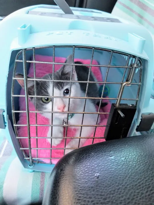 Primary Care Animal Hospital Picture 8