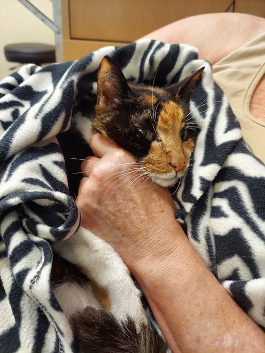 Primary Care Animal Hospital Picture 10