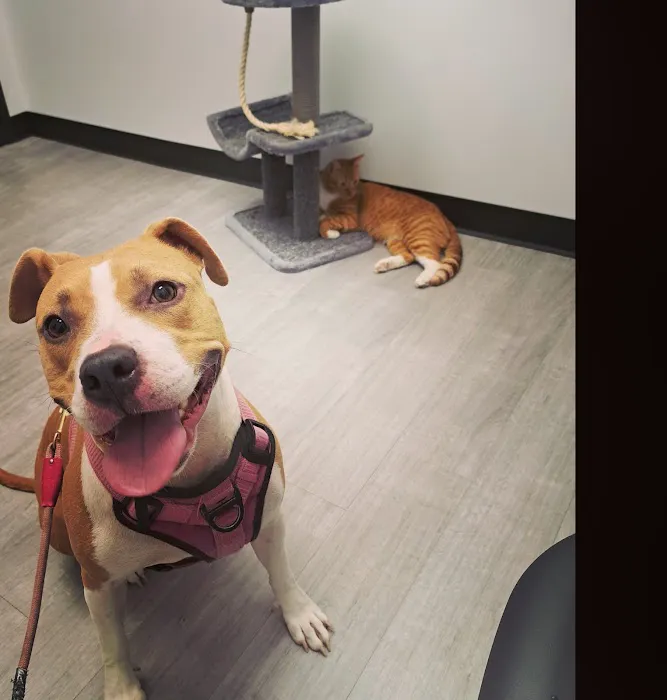 Skyline Animal Hospital Picture 1