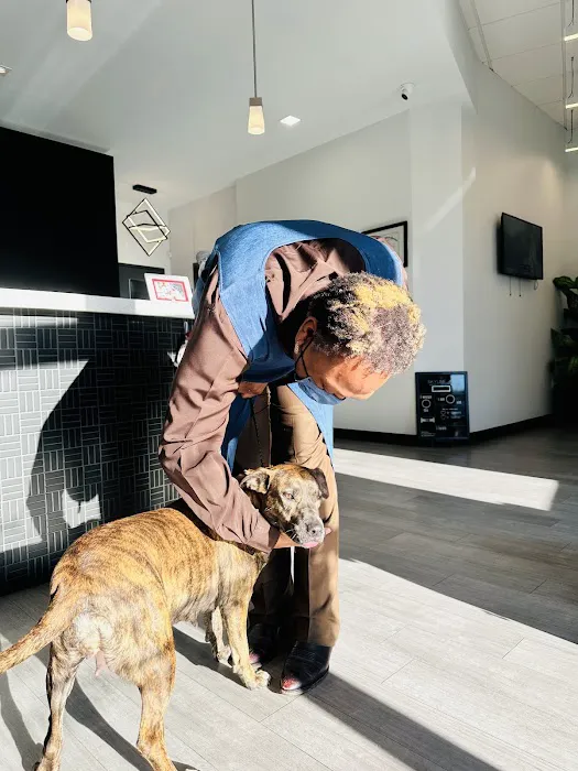 Skyline Animal Hospital Picture 7