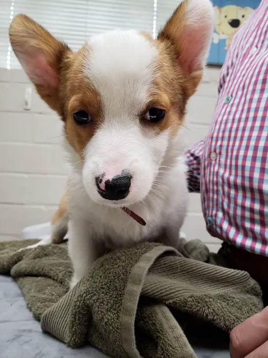 West Alabama Animal Clinic Picture 1