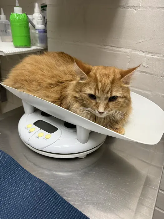 West Alabama Animal Clinic Picture 4