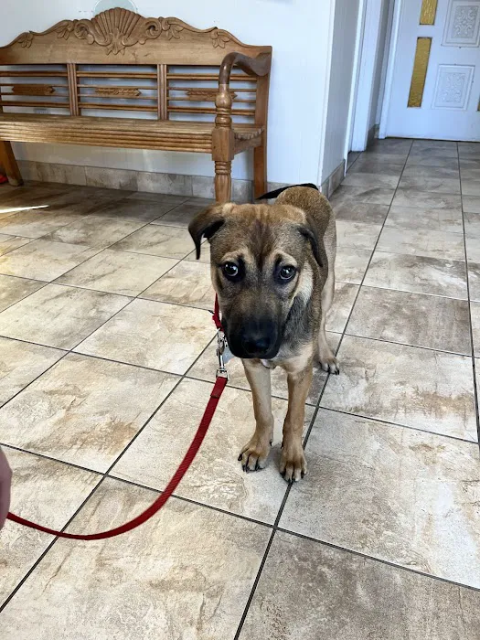 West Alabama Animal Clinic Picture 2