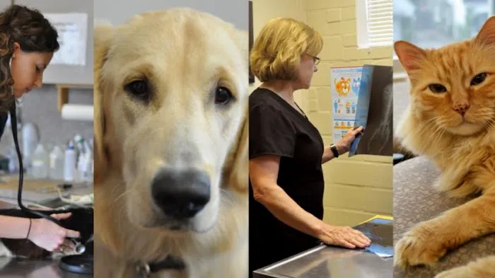 West Alabama Animal Clinic Picture 6