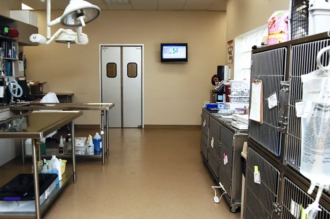 West Alabama Animal Clinic Picture 7