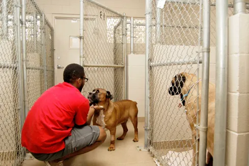 West Alabama Animal Clinic Picture 5