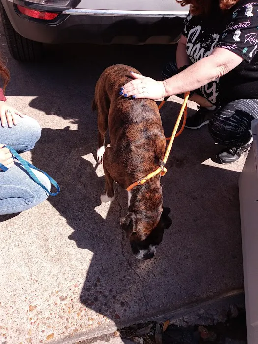 West Alabama Animal Clinic Picture 8