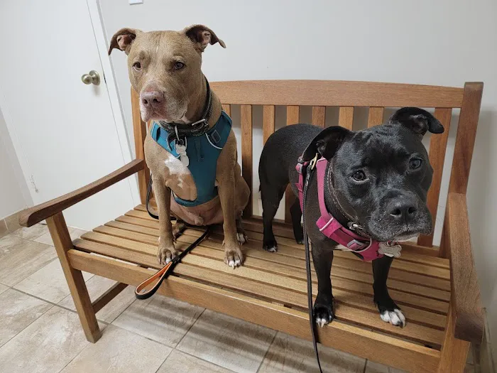 West Alabama Animal Clinic Picture 10