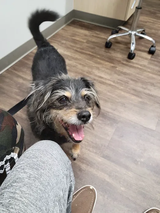 Bayou City Veterinary Hospital Picture 1
