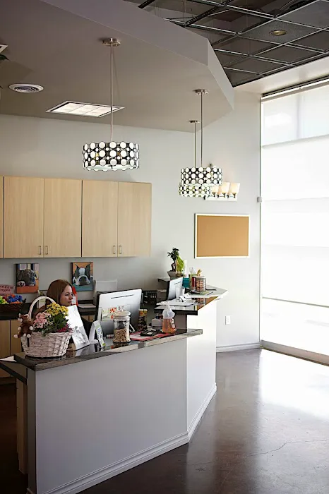 Bayou City Veterinary Hospital Picture 5