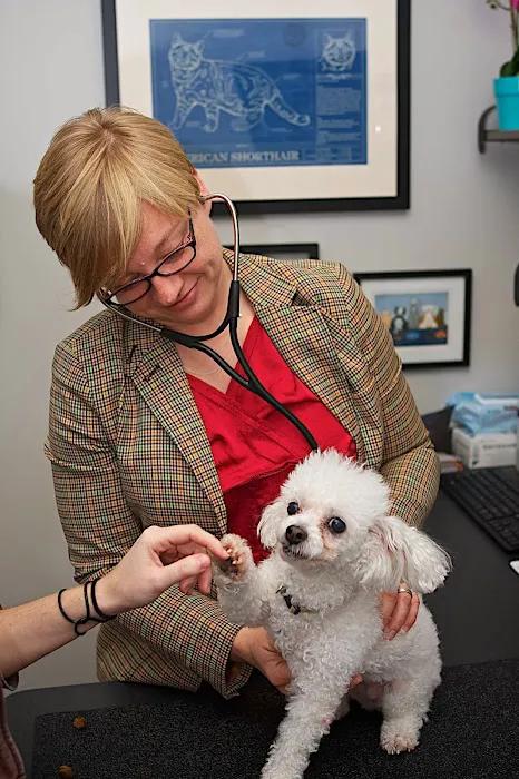Bayou City Veterinary Hospital Picture 3