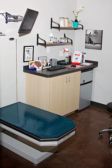 Bayou City Veterinary Hospital Picture 8