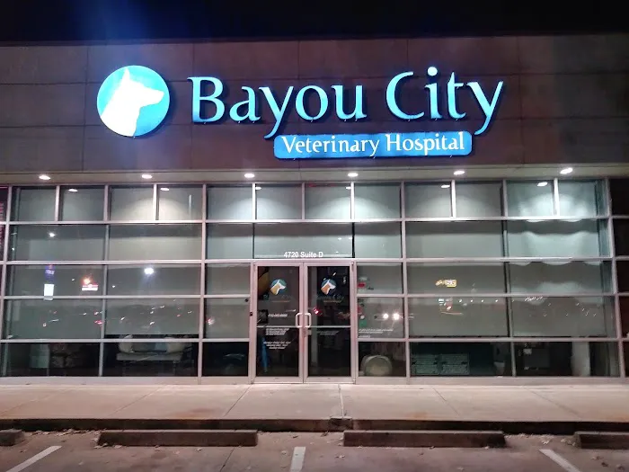 Bayou City Veterinary Hospital Picture 7