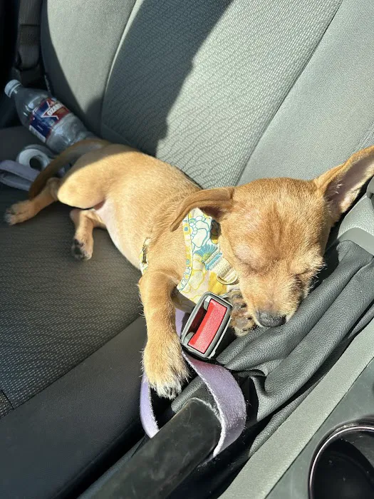 SNAP Spay-Neuter & Animal Wellness Clinic Picture 10