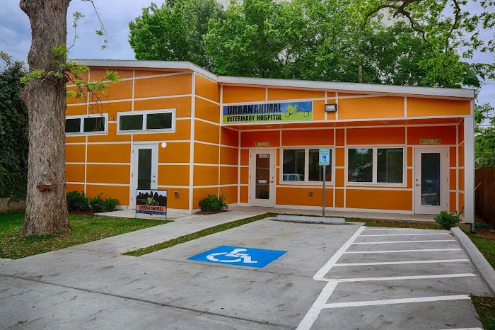 Heights Veterinarian - Urban Animal Veterinary Hospital Picture 1