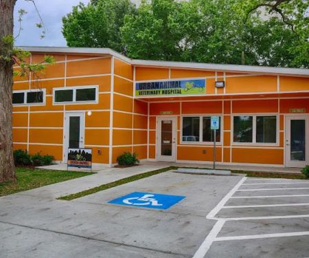 Heights Veterinarian - Urban Animal Veterinary Hospital