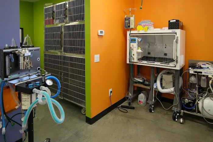 Heights Veterinarian - Urban Animal Veterinary Hospital Picture 3