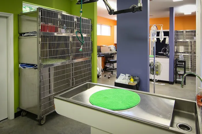 Heights Veterinarian - Urban Animal Veterinary Hospital Picture 5