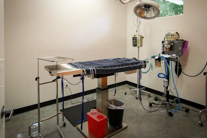 Heights Veterinarian - Urban Animal Veterinary Hospital Picture 8