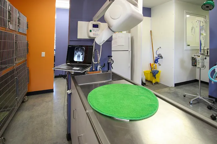 Heights Veterinarian - Urban Animal Veterinary Hospital Picture 9