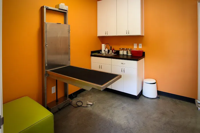 Heights Veterinarian - Urban Animal Veterinary Hospital Picture 7