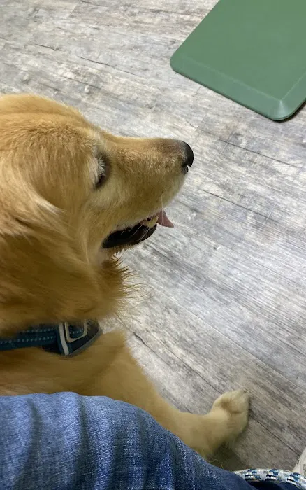 Creature Comfort Animal Hospital Picture 7