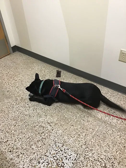 Vetco Total Care Animal Hospital Picture 2