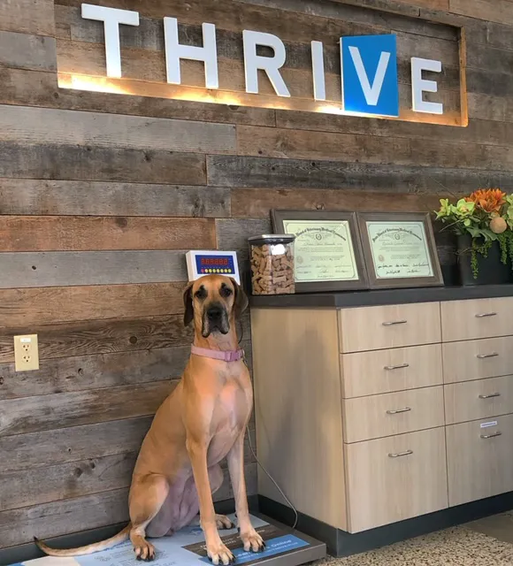 Vetco Total Care Animal Hospital Picture 5