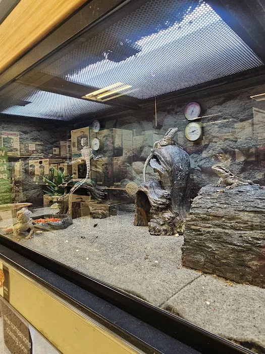 Vetco Total Care Animal Hospital Picture 4