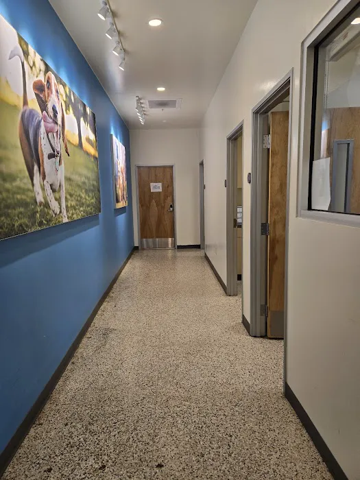 Vetco Total Care Animal Hospital Picture 8