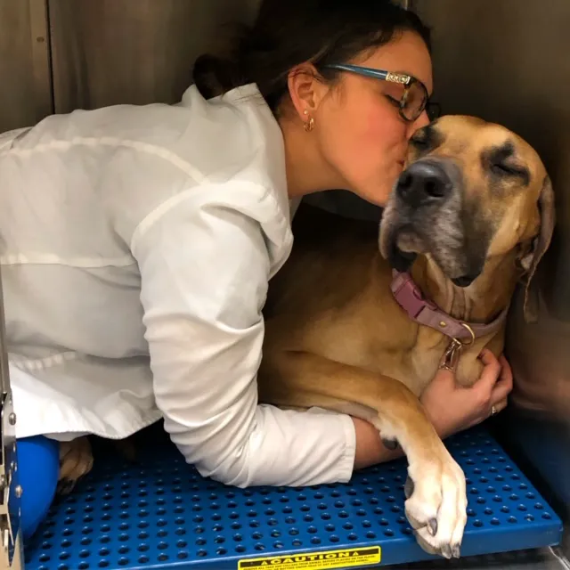 Vetco Total Care Animal Hospital Picture 10