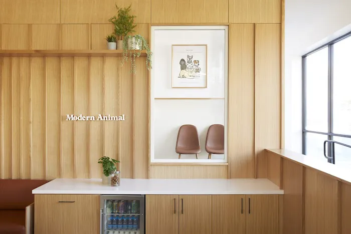 Modern Animal Veterinary Care Picture 2