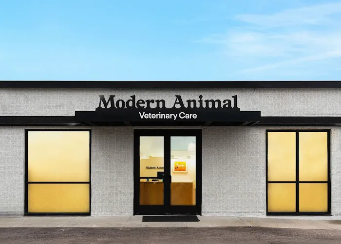 Modern Animal Veterinary Care Picture 3
