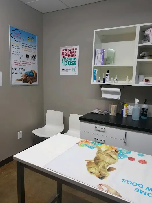 The Corner Vet Picture 5