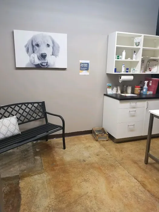 The Corner Vet Picture 6
