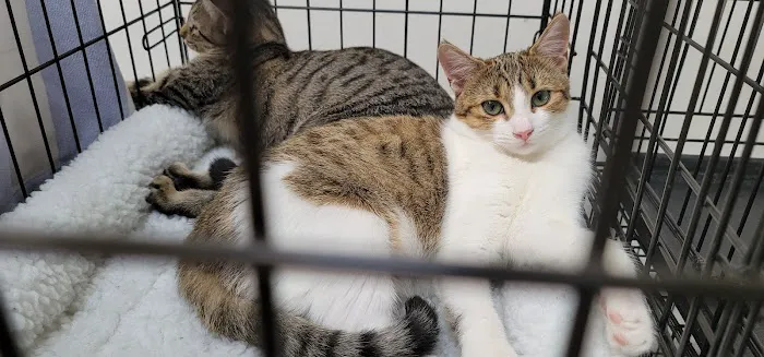 Banfield Pet Hospital Picture 5