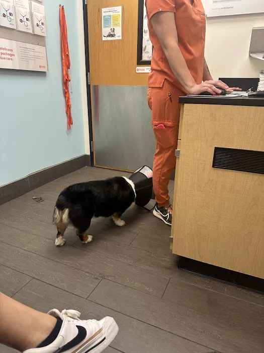 Banfield Pet Hospital Picture 9