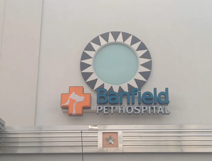Banfield Pet Hospital Picture 10