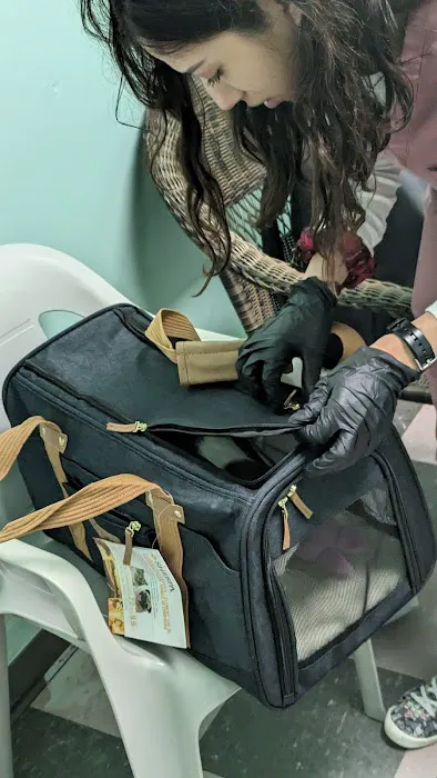 Veterinary Urgent Care Picture 6