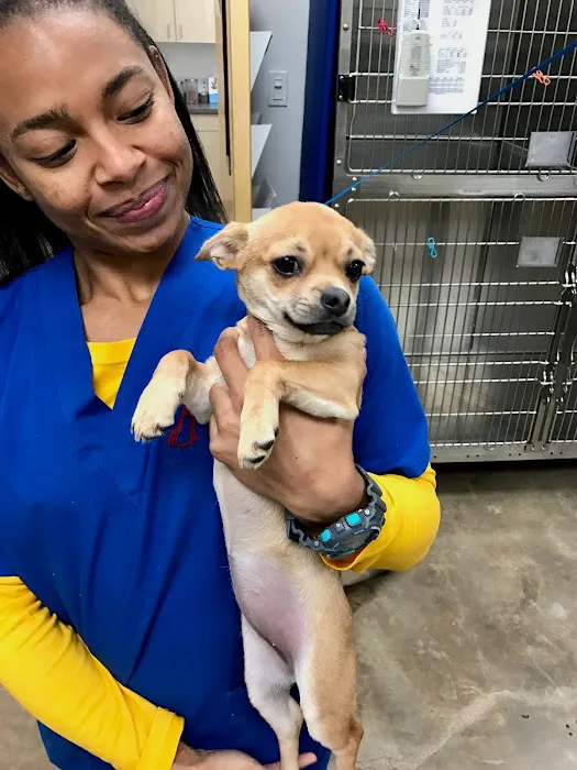 Thrive Pet Healthcare - The Heights Picture 1