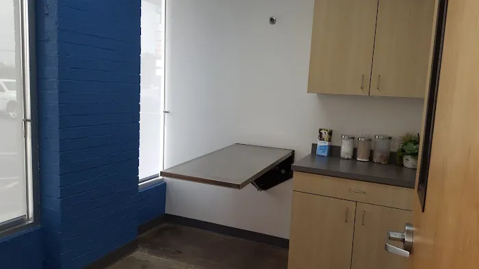 Thrive Pet Healthcare - The Heights Picture 7