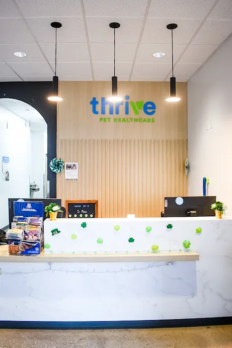 Thrive Pet Healthcare - The Heights Picture 9