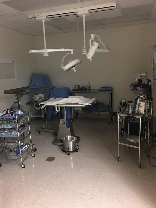Animal Hospital & Dental Clinic Picture 1