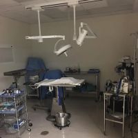 Animal Hospital & Dental Clinic ico