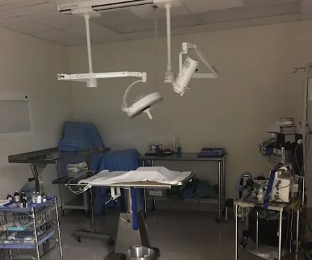 Animal Hospital & Dental Clinic