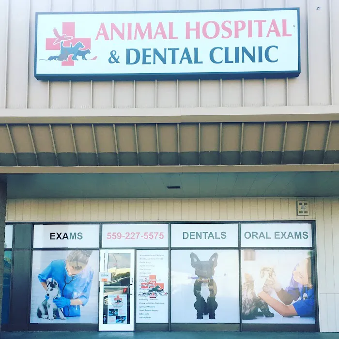 Animal Hospital & Dental Clinic Picture 9