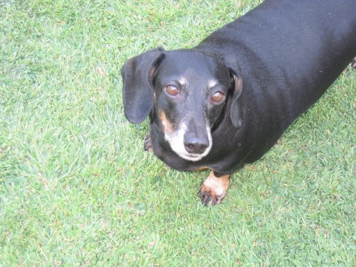 Woodward Pet Hospital Picture 8