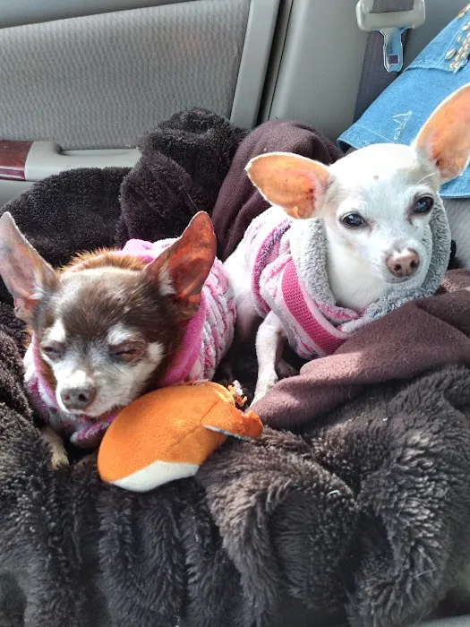 Sunnyside Pet Hospital Picture 1
